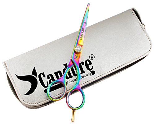 Professionell Multi Titan Haarschneideschere 5.5' Zoll Haarschere Friseur SchereProfi Friseurschere + Etuis