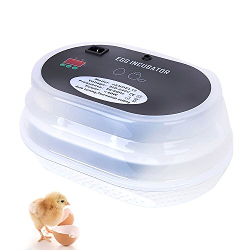 HBlife Automatische Ei-Inkubator Brutkasten Brutapparat Motorbrüter Brüter Brutmaschine mit Umluftmotor 9/12 Eier