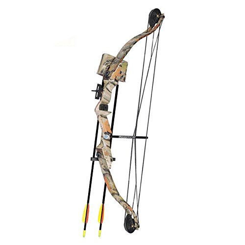SET: Compoundbogen Hawk 31 ' (79 cm) Autumn Camo 20 lbs Cable Wire RH - Kinderbogen / Jugendbogen