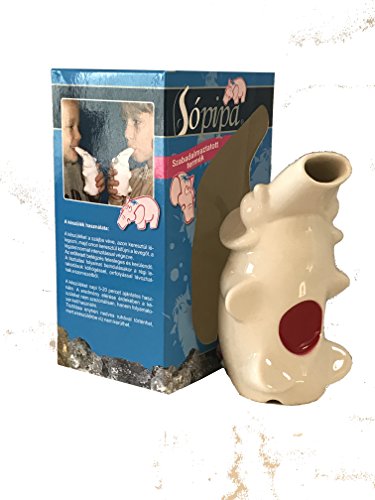 SaltPipe Salzinhalator, 250 g