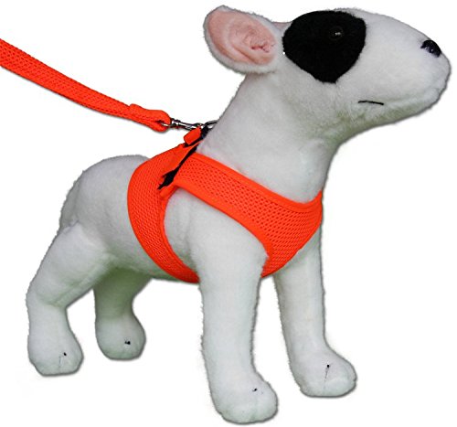Softgeschirr Comfy Mesh Fluo orange leuchtet im Dunkeln Neon Hundegeschirr Geschirr Weste Fluoreszierend