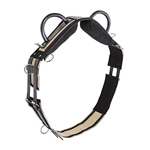 Busse Longiergurt DOUBLE, SH, schwarz