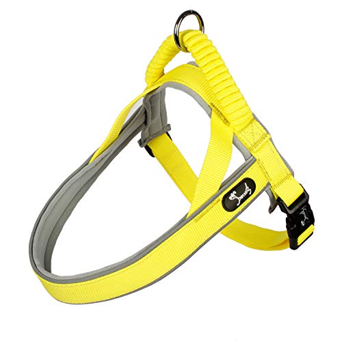 Lampop Hundegeschirr Brustgeschirr 3M Reflexion Nylon für Große, Mittlere und Kleine Hunde Farbe Rot, Pink, Grün, Blau (S-M-L-XL)