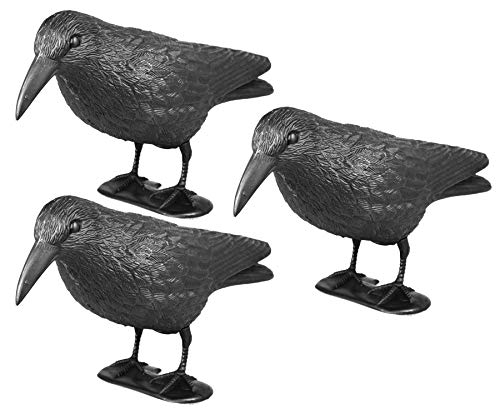 mgc24 Taubenschreck Rabe Lummy - Abwehr von Tauben, Möwen, Kleinvögeln - 3 Stück