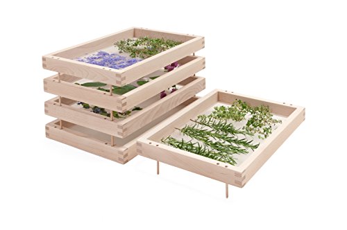 Kräutertrockner - Das Original aus unbehandeltem Buchenholz