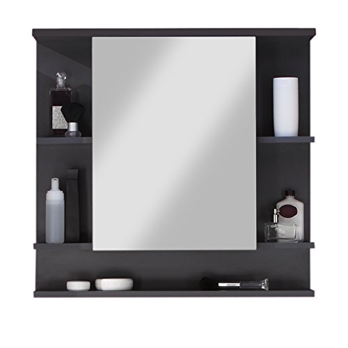 Trendteam Tetis Badezimmer Spiegelschrank, 72 x 76 x 20 cm, in Graphit mit fünf Ablagefächern