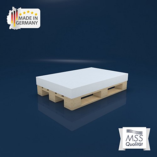 MSS PALETTENKISSEN MATRATZENKISSEN (120x80 cm) SCHAUMSTOFF FÜR EUROPALETTE / HUNDEKISSEN / AUFLAGE