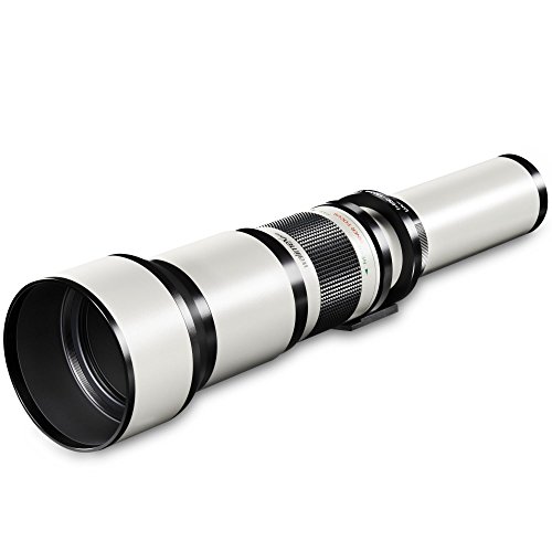 Walimex Pro 650-1300mm 1:8-16 DSLR-Teleobjektiv für Nikon F Objektivbajonett weiß (manueller Fokus, für Vollformat Sensor gerechnet, Filterdurchmesser 95mm, mit ausziehbarer Gegenlichtblende)