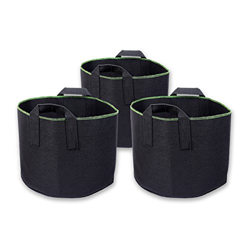 Schramm 3er Pack 30 Liter Pflanzsäcke aus Vliesstoff Pflanzsack 3 Stück Garten Sack aus Fliesstoff zum Bepflanzen Pflanzgefäß Pflanzbehälter Pflanzbeutel