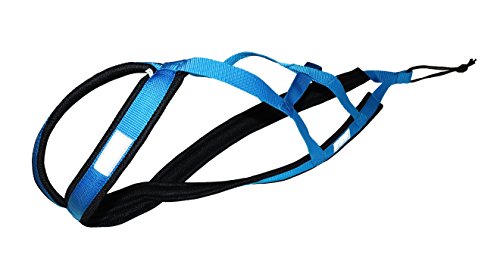 X-Back Zuggeschirr fuer Bike-, Skijoring, Dogscooting, Schlitten, in blau