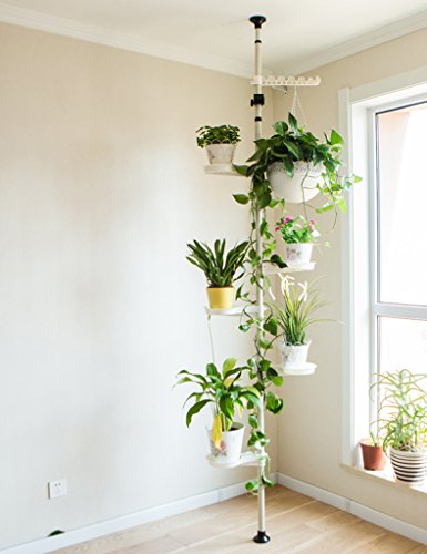 ZCJB Pflanzenregale Blumen-Regal-Eisen-Multifunktionsbalkon-Wohnzimmer-Innenaufbau Chlorophytum-Standplatz-europäischer Art