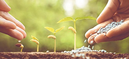 25 kg NPK Volldünger 15 x 15 x 15 Rasendünger Dünger Profidünger