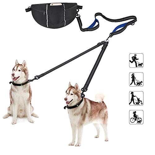 Hundeleine für 2 Hunde 2 in 1 Doppelleine Elastische Reflektierende Hundeleine Hände Frei Joggen Hunde Leine mit Verstellbar Bauchgurt zum freihändigen Joggen, Spazieren und Wandern von Hundefreund