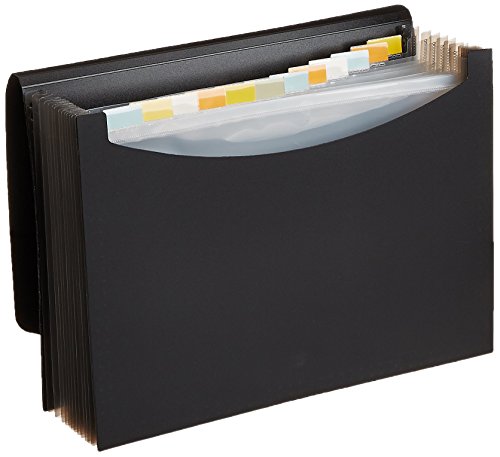 AmazonBasics Dokumentenmappe A4, Fächermappe - Schwarz