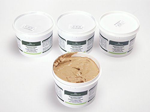 Faserverstärkter Holzkitt Spachtelmasse Extra Strong 1 Kg (Eiche hell - 51)