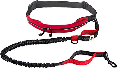 Joggingleine mit Laufgürtel von Hundefreund | Elastische Hundeleine 120 bis 180 cm für mittlere und große Hunde | Freihändig Joggen Laufen Radfahren Wandern