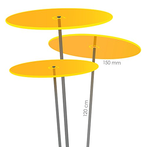 Cazador-del-sol  medio | tres | 3 Stück Sonnenfänger-Scheiben gelb 1,20 Meter hoch - das Original