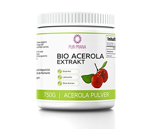 Pur Prana Bio Acerola Vitamin C Pulver Superfood Acerolapulver Kirsche 750g