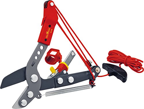 WOLF-Garten 71ACA005650 Profi-Baumschere multi-star RC-VM NEU2018, Rot, 37x23x7 cm