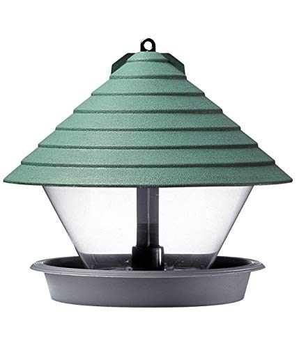 Dehner Natura Wildvogel-Futterampel Guayana, Ø 27 cm, Höhe 23 cm, Kunststoff, türkis