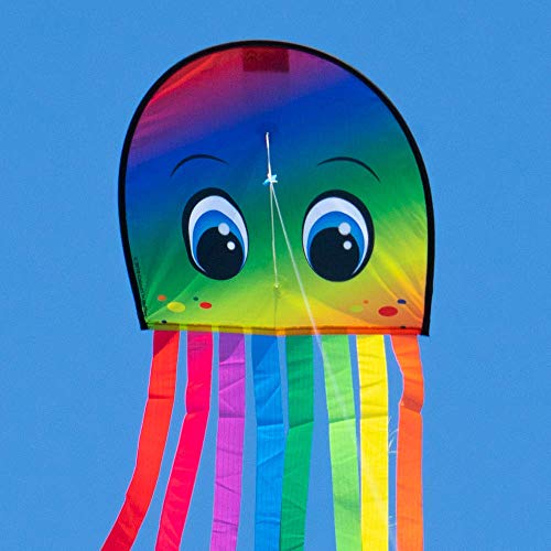 CIM Kinderdrachen - DRAKI XL RAINBOW - Drachen Abmessungen: 31 x 180cm - inkl. 40m Drachenschnur auf Handgriff - für Kinder ab 3 Jahren