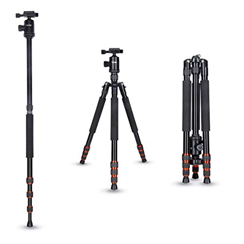 Rollei Allrounder Alu Stativ I Schwarz I Kamera-Stativ I Reisestativ mit Kugelkopf inkl Monopod Arca-Swiss Schnellwechselplatte Stativtasche 164 cm