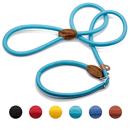 Supet Retrieverleine mit Zugstopp Nylon Moxonleine Dauerhafte Ausbildung Hundeleine Justierbare Haustier-Leine für Kleine Mittlere und Große Hunde