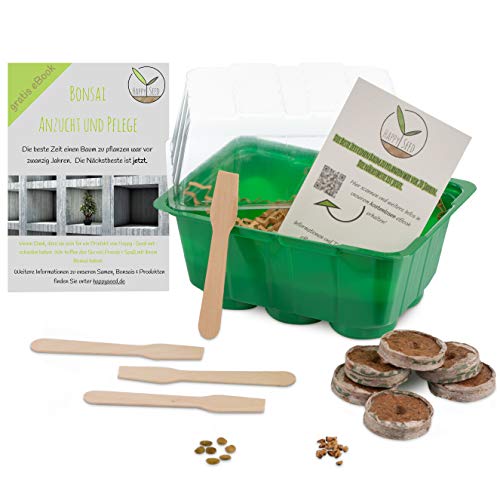 Bonsai Starter Kit Anzuchtset inkl. GRATIS eBook - Pflanzset aus Mini-Gewächshaus, Samen & Erde - nachhaltige Geschenkidee für Pflanzenfreunde