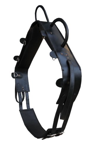 AMKA LEDER Voltigiergurt Shetty mit 2 Beinschlaufen runden Griffen, schwarz hochwertig| Reithilfe Voltigieren AMKA | auch für Holzpferde