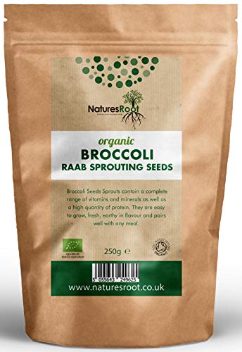 Nature Root Bio Brokkoli Sprießen Samen - Superfood | Nicht GVO | Microgreen Sprossen (250g)