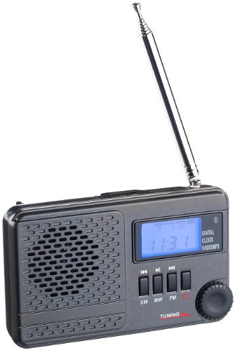 auvisio Digitale Weltempfänger: Weltempfänger WWR-100.mp3 mit DSP-Rauschunterdrückung & MP3 (Digitales Radio)