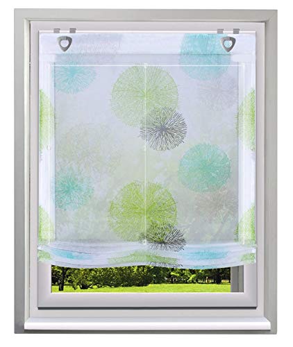 BAILEY JO Raffrollo mit Kreis-Motiven Druck Design Rollos Voile Transparent Vorhang (BxH 80x140cm, Grün1 mit U-Haken)