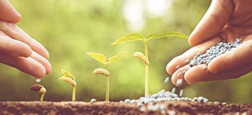 25 kg NPK 15-15-15 Volldünger Leistungsstarker Unviversal-Dünger mit Schwefel & Langzeitwirkung • für Rasen Obst & Gemüse Blumen • Perfekt für die Grundversorgung aller Böden/TerraDomi