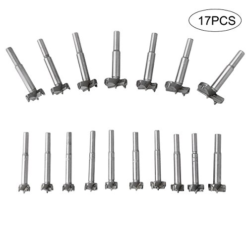 flintronic Dübelbohrer Holzbohrer 17-tlg Forstnerbohrer Flat Bottom Blind Hole Bit Set, Forstner Bohrer Cutter 15mm ~ 40mm Bit-Set Rund Schaft Holz Tools