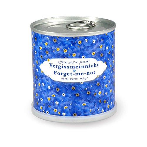Blumen in der Dose Vergissmeinnicht