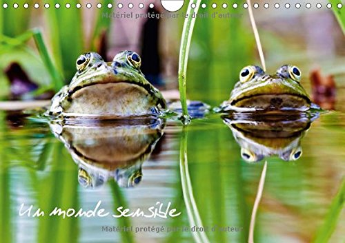 Un monde sensible (Calendrier mural 2017 DIN A4 horizontal): En macro ou au télézoom, divers animaux autour de nous... (Calendrier mensuel, 14 Pages ) (Calvendo Animaux)