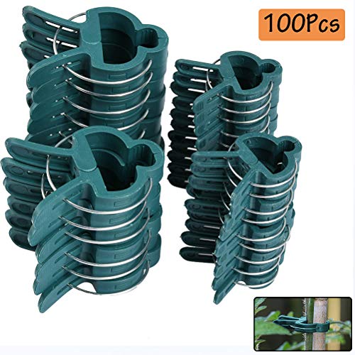 TIMESETL 100Stück Pflanzenclips Stabile Clips Pflanzenklammern, 2 Größe Gartenpflanze Clips wiederverwendbar für kleine & große Triebe Spaliere Rosenbögen Rankhilfen