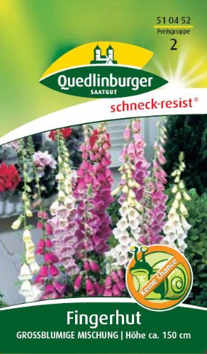 Fingerhut, Großblumige Mischung