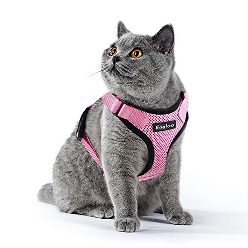 Eagloo Geschirr für Katzen Katzengeschirr Kleine Katze Katzengarnitur Ausbruchsicher Welpengeschirr Soft Kaninchengarnitur Katzenweste Verstellbar Schutz Kitten Hunde Chihuahua Cat Harness Schwarz XS