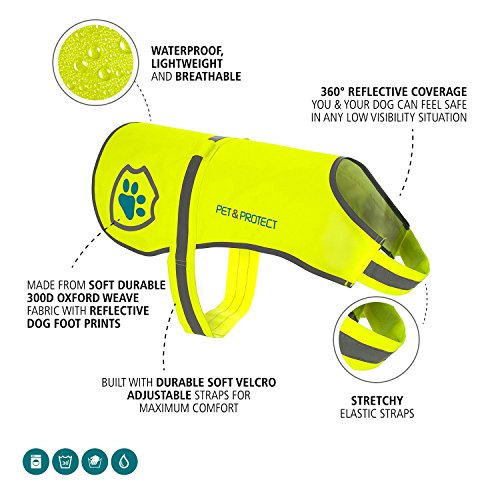 Premium Hunde Warnweste Neon öffentlichkeitswirksamer Sicherheit | Walking, Joggen, Training 16-130 lbs (EINWEG)