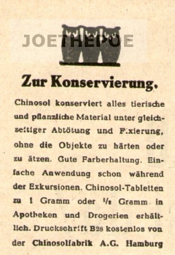 1949 - Anzeige / Inserat : CHINOSOL / ZUR KONSERVIERUNG - Format 45x65 mm - alte Werbung / Originalwerbung/ Printwerbung / Anzeigenwerbung