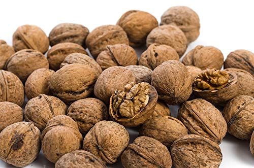 2,79 EUR/KG Walnüsse in der Schale Walnuss mit Schale Ernte 2018 Walnuts TOP 1A (30)