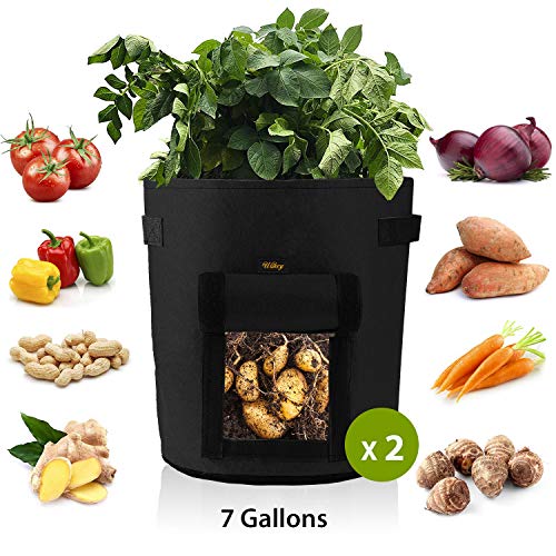 Ulikey 2er Pack Kartoffel Pflanzbeutel, Pflanztasche, Pflanztasche mit Sichtfenster Klettverschluss, Vliestopfbehälter für Pflanzbeutel Kartoffel Tomaten Kartoffelsack (2er-Pack Schwarz, 7 Gallonen)