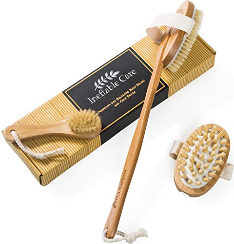 Körperbürste & Massagebürste - Trockenbürste für Trockenbürsten-Massage mit natürlichen Wildschweinborsten und abnehmbarem langen Griff – Trockene Hautbürste, Naturborsten Rückenbürste, Rückenschrubber, Pre-Duschbürste & Badbürste zum Haut-Peeling, Lymphdrainage und Anti-Cellullite Bürste