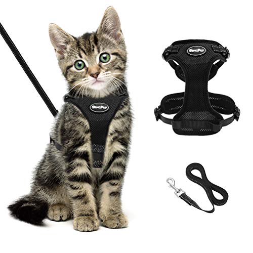 BINGPET Katzengeschirr und -Leine Set Schwarzes, fluchtsicheres Katzengeschirr, verstellbare, weiche, reflektierende Kaetzchenweste, No-Pull-Design Fuer das Gehen und Laufen mit kleinen Haustieren