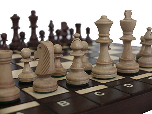 Chessebook Schachspiel Bug 41 x 41 cm Holz