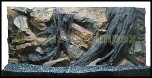 3D Aquarienrückwand 100x50 Root