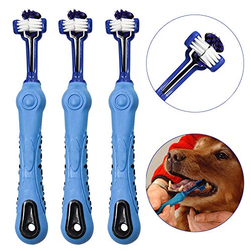 OneBarleycorn - 3 Stück Hundezahnbürste für Haustierzahnpflege, Dreifachkopf-Zahnbürste, ergonomischer Griff für einfache Mundpflege, perfekt für mittelgroße und große Hunde (Blau)