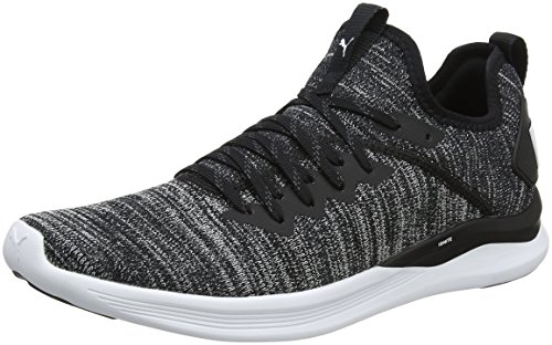 Puma Herren Ignite Flash Evoknit Cross-Trainer, Schwarz (Puma Black-Asphalt-Puma White 02), 44 EU