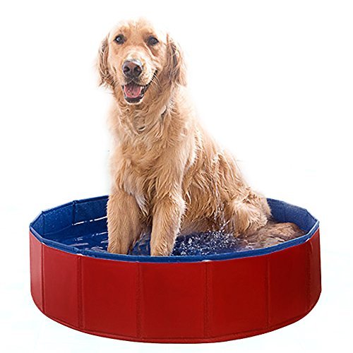 FEMOR Doggy Pool das Planschbecken Hundepool Swimmingpool für den Hun 3 Größe (120*30cm)